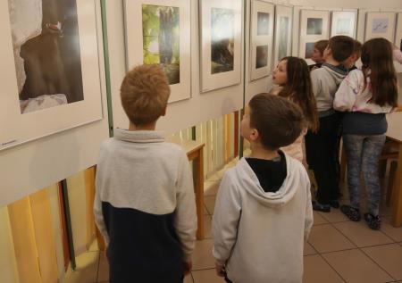 RAZSTAVA FOTOGRAFIJ V OŠ RAKEK 04 FOTO LJUBO VUKELIČ 